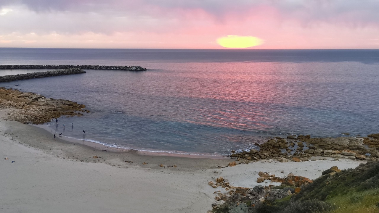 Photo of Others in O'sullivan Beach