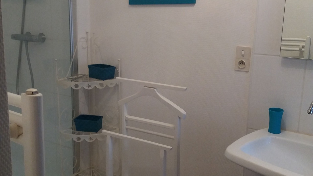 Photo of Bathroom in Downtown Angers