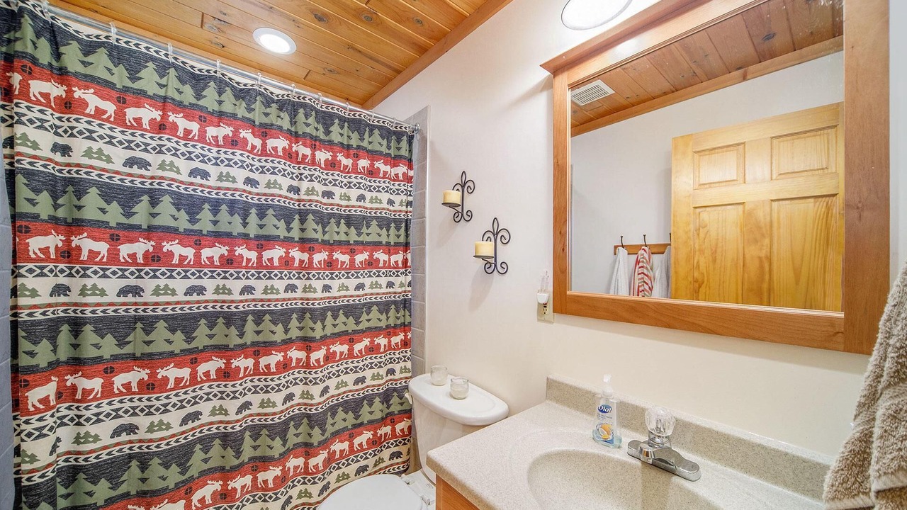 Photo of Bathroom in Cheboygan County