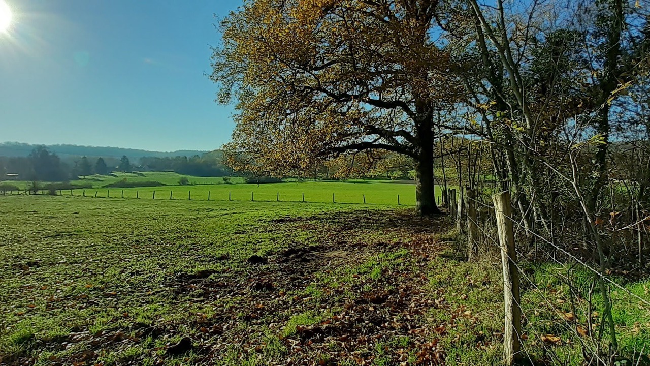 Photo of Outdoor in Aisne