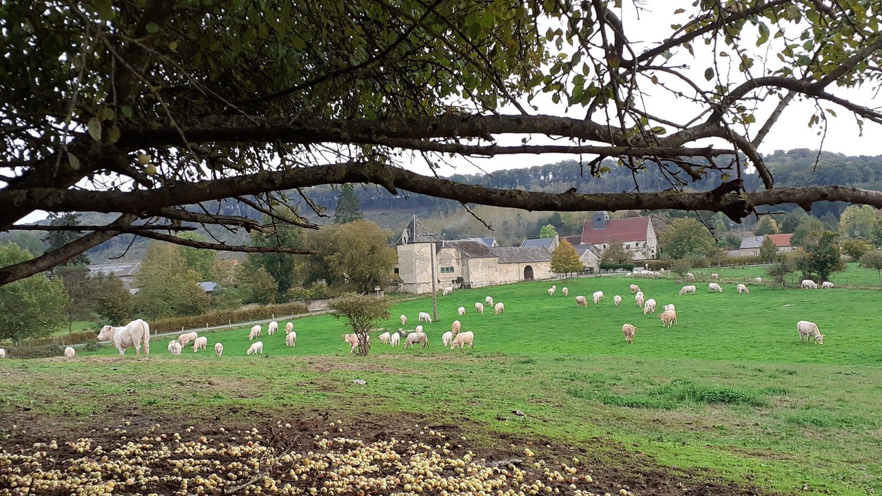 Photo of Outdoor in Aisne