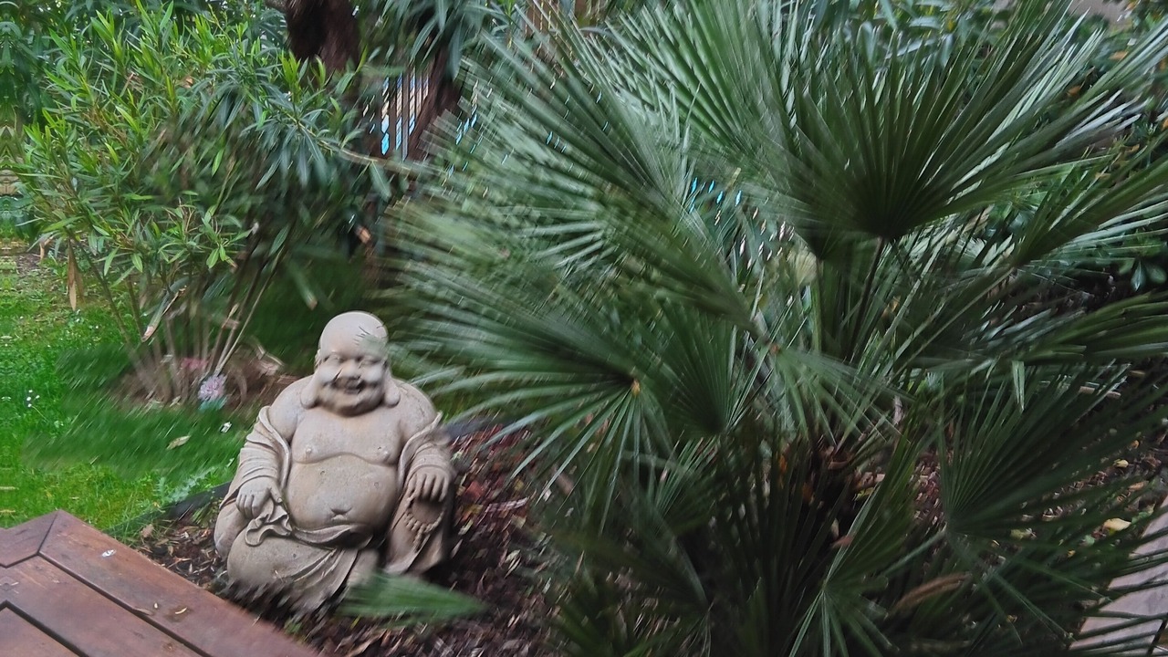 Photo of Outdoor in Bruguieres
