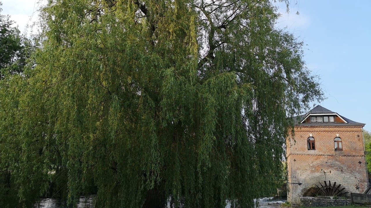 Photo of Outdoor in Hem-Hardinval