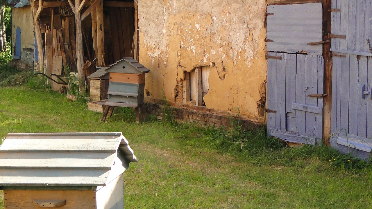 Photo of Outdoor in Hem-Hardinval