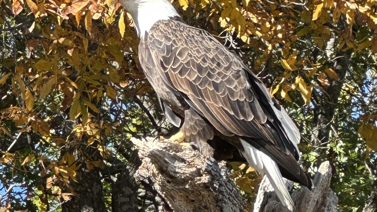 Photo of Outdoor in Pulaski County