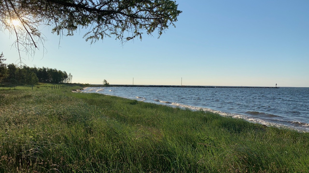 Photo of Others in Neguac