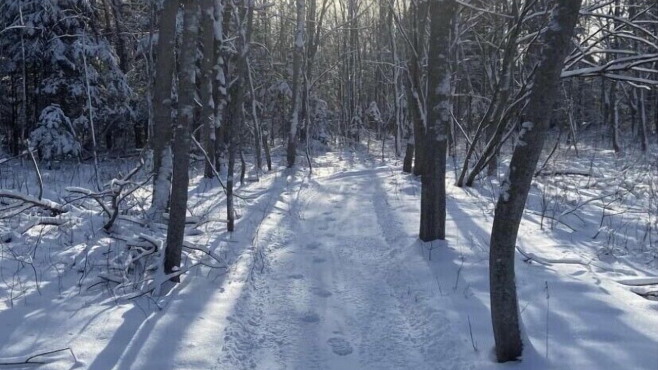 Photo of Others in Neguac