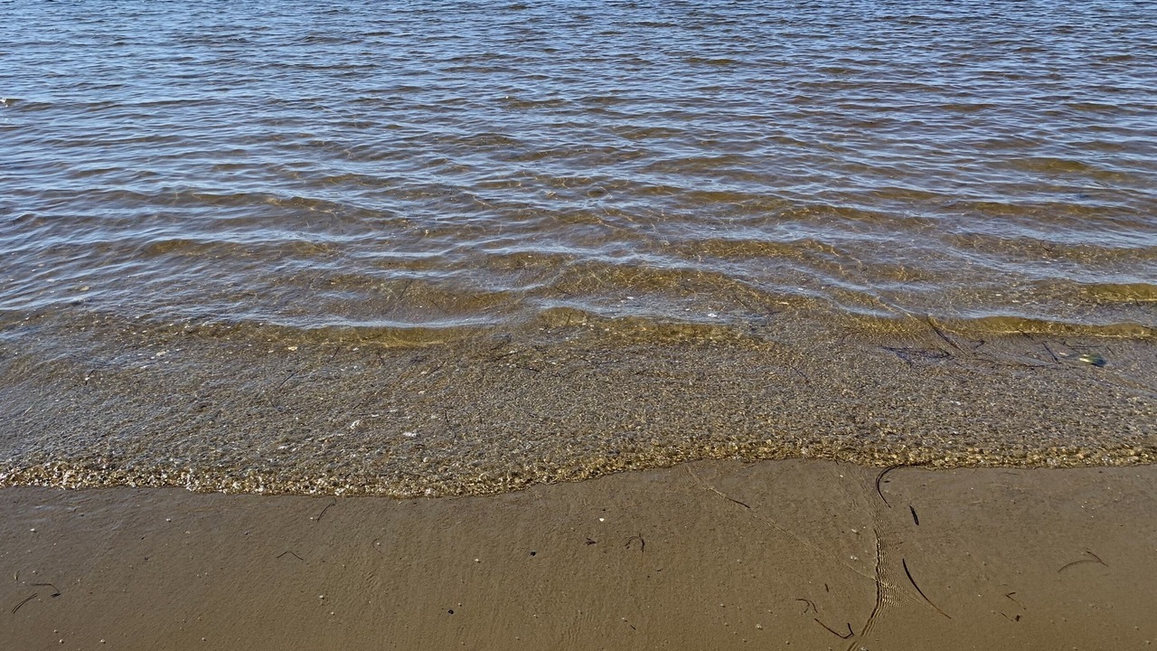 Photo of Others in Neguac