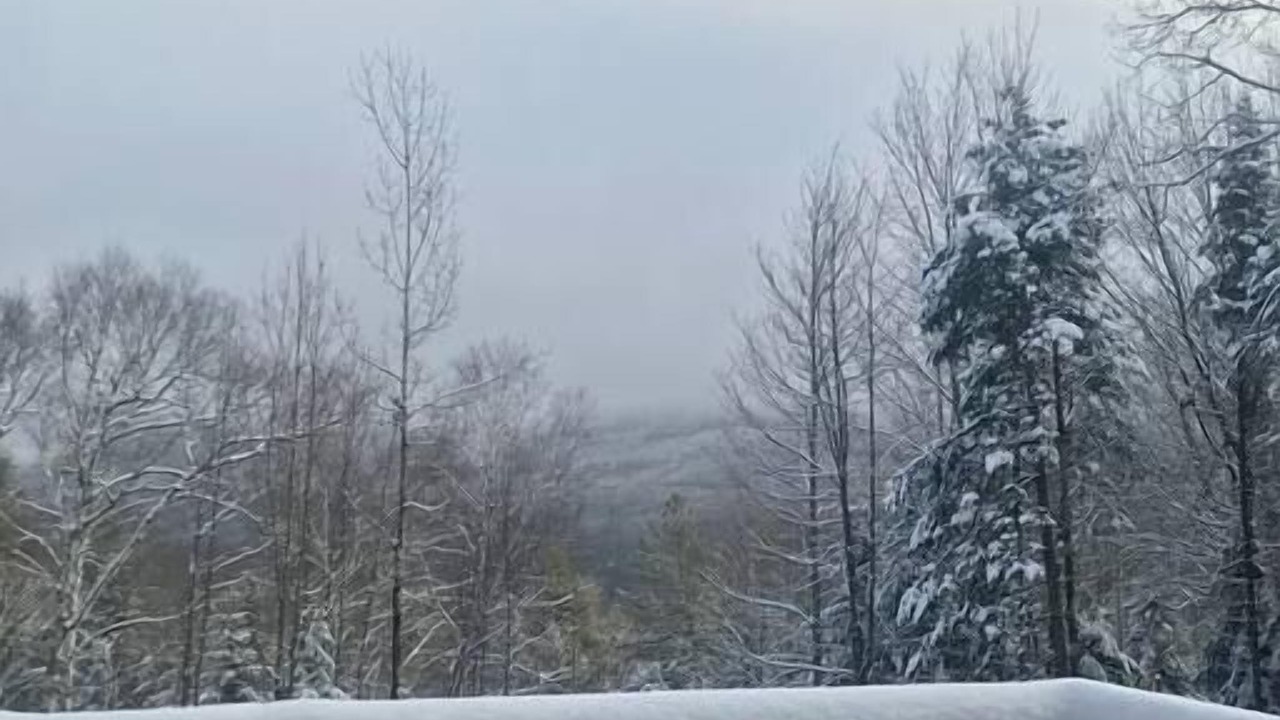 Photo of Others in Warren