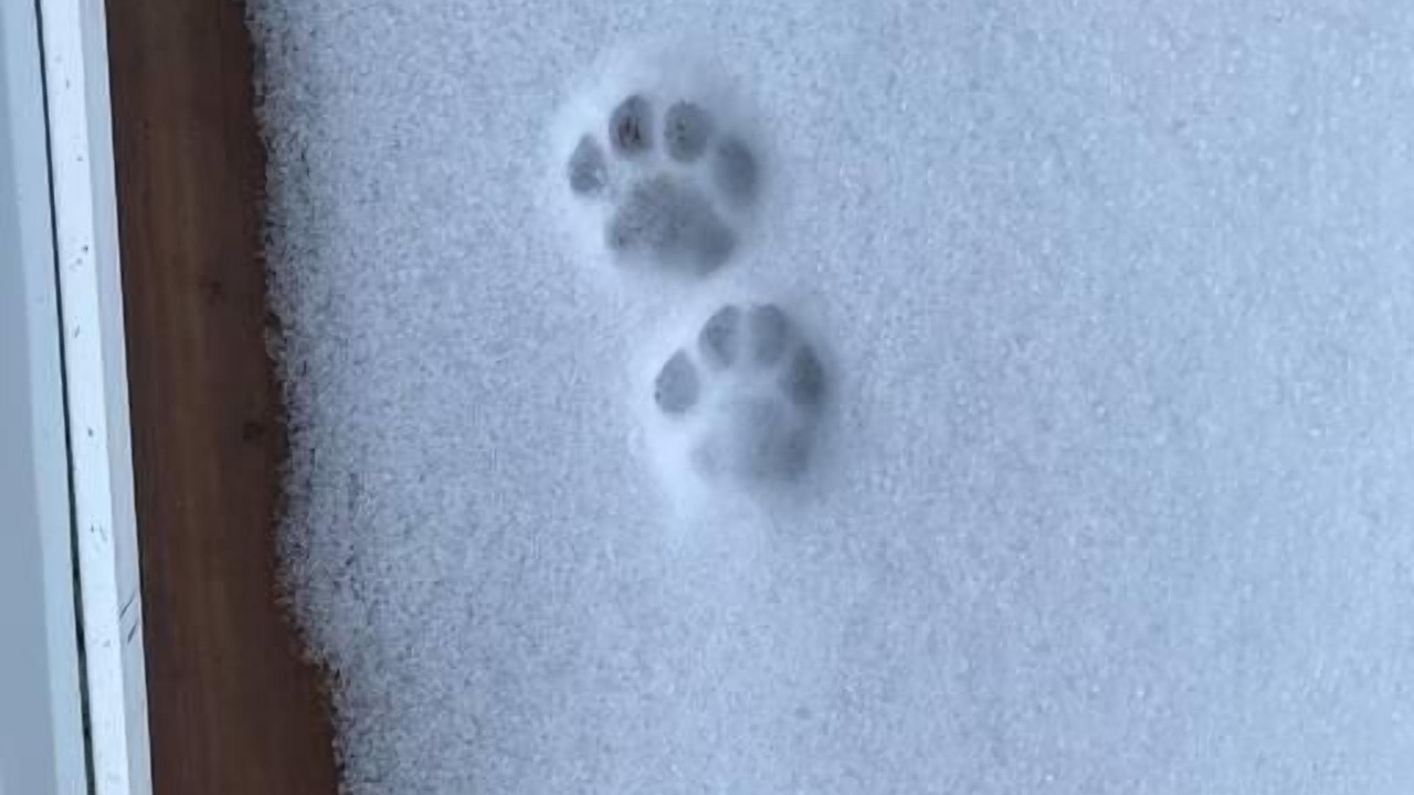 Photo of Others in Warren