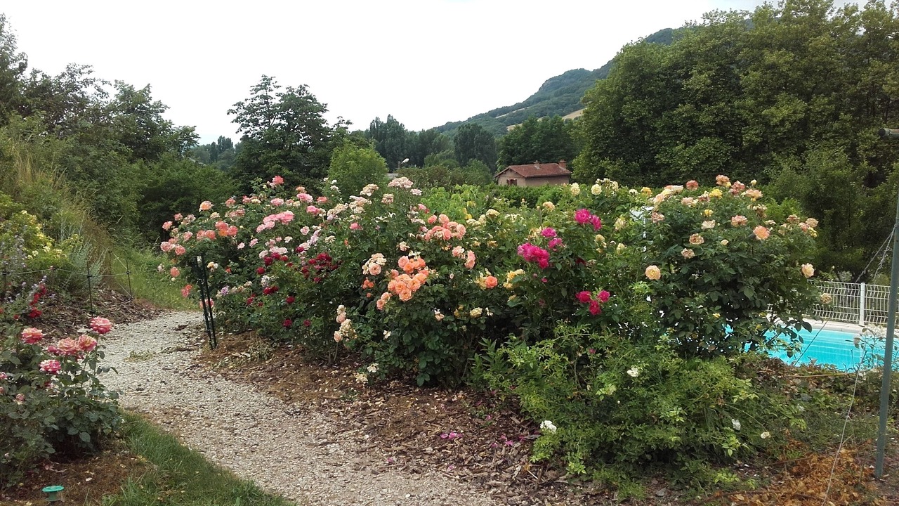 Photo of Outdoor in Saint-Affrique