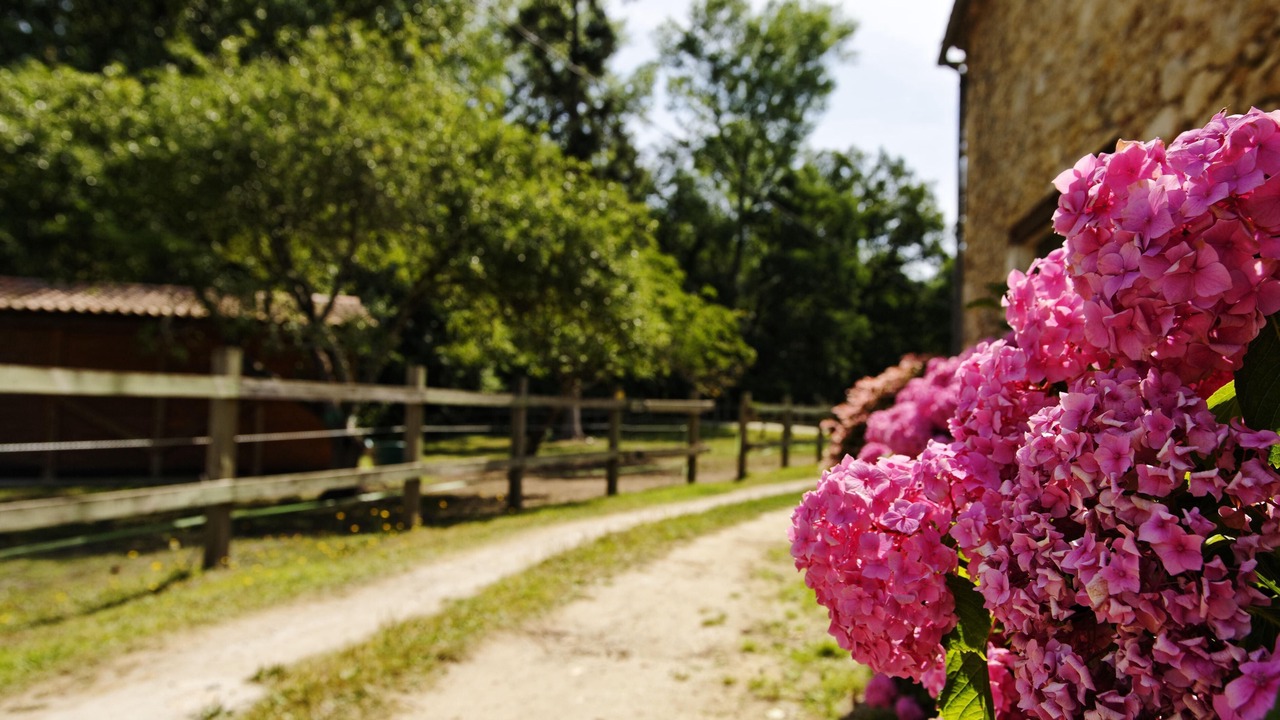 Photo of Outdoor in Castelnau-de-Medoc