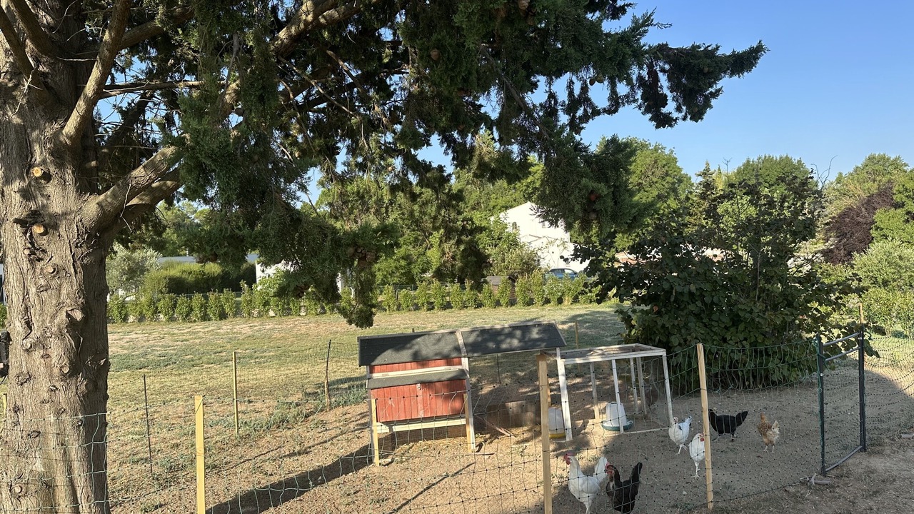 Photo of Outdoor in Cabries