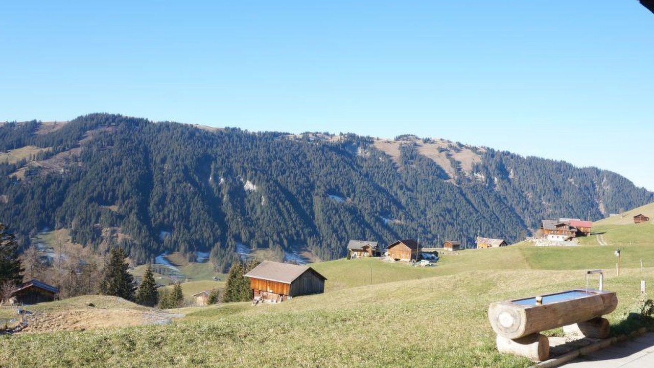 Photo of Others in Lauenen