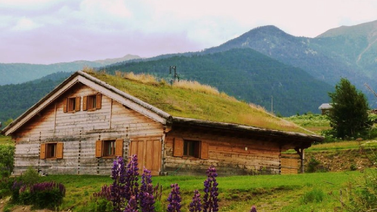 Photo of Outdoor in Saint-Pierre-dels-Forcats