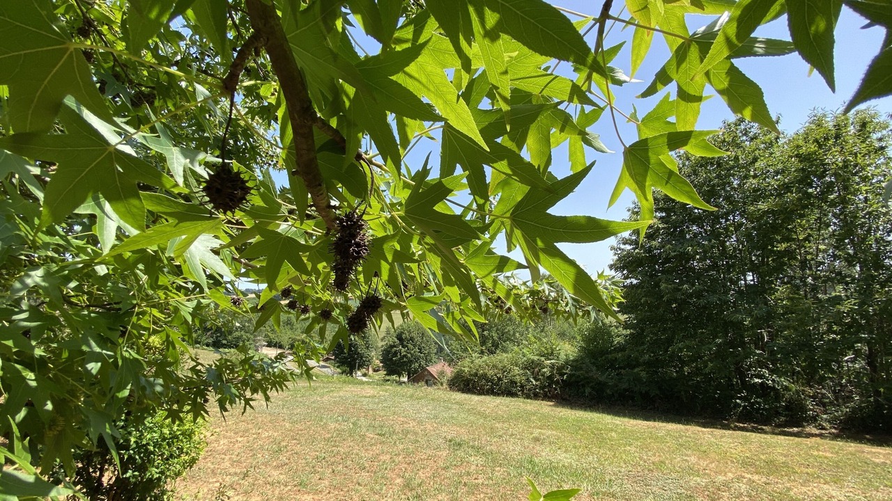 Photo of Outdoor in Doissat