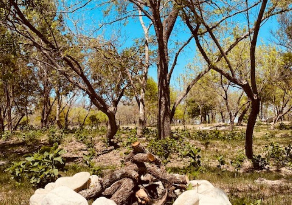 Photo of Outdoor in Camp Wood