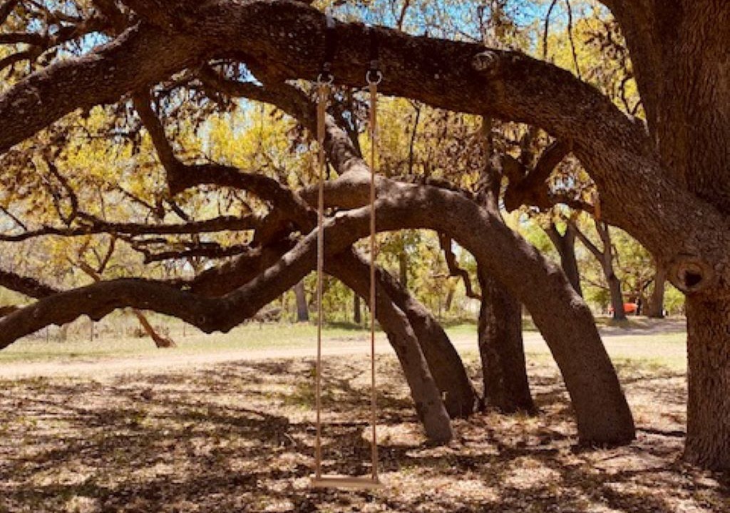 Photo of Outdoor in Camp Wood