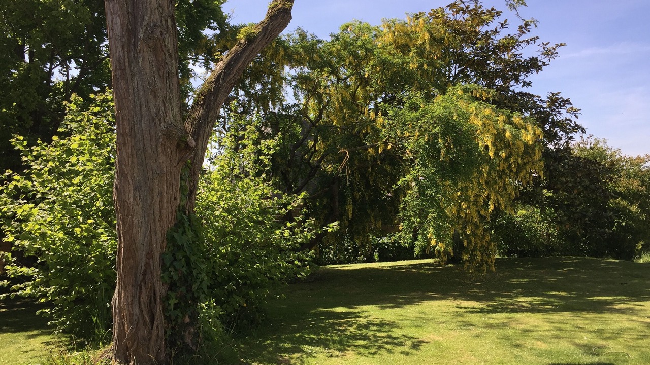 Photo of Outdoor in Trevieres