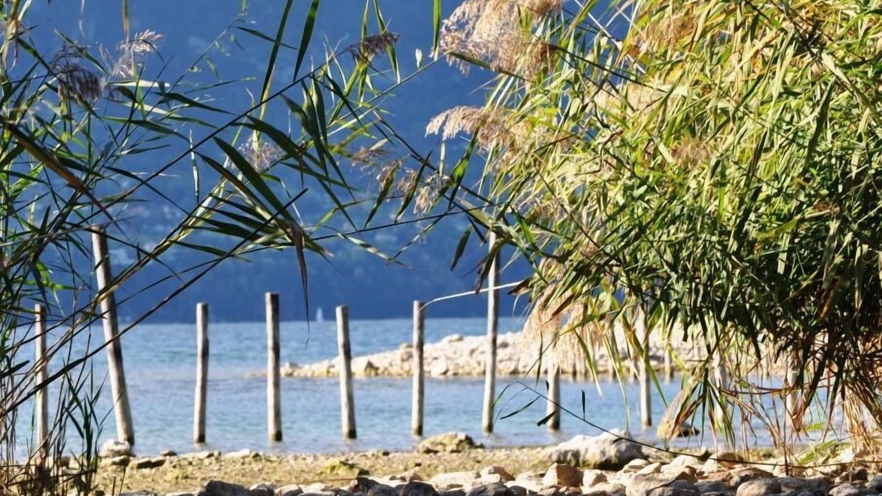 Photo of Others in Aix-les-Bains City Center