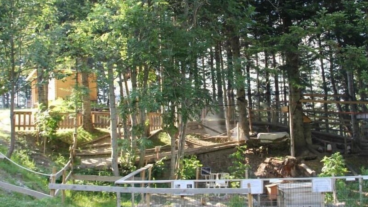 Photo of Outdoor in Selonnet