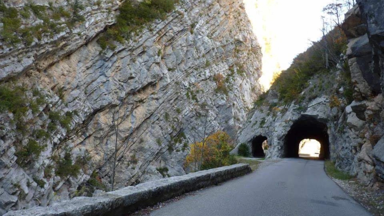 Photo of Others in Selonnet