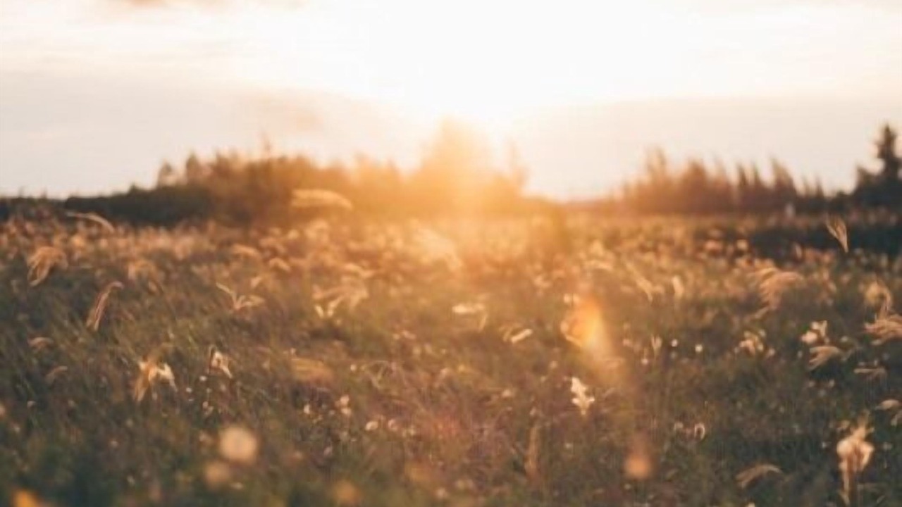 Photo of Others in Selonnet