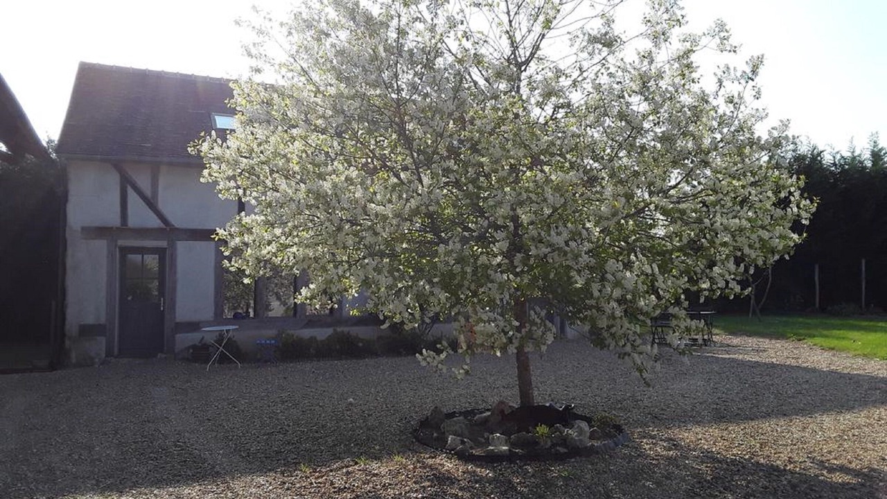 Photo of Outdoor in Tour-en-Sologne
