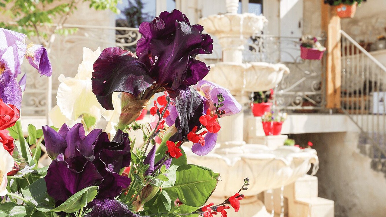 Photo of Outdoor in Issigeac