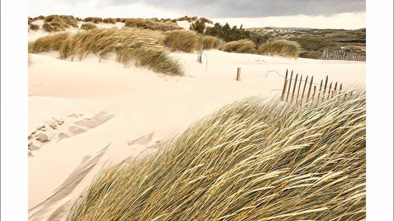 Photo of Others in Wimereux