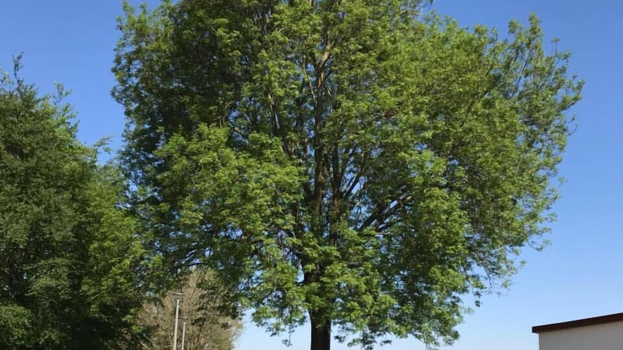 Photo of Outdoor in Wattignies