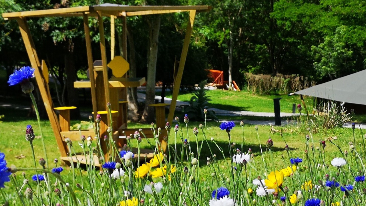 Photo of Outdoor in Saint-Leonard-des-Bois