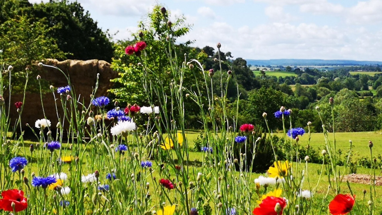 Photo of Outdoor in Saint-Leonard-des-Bois