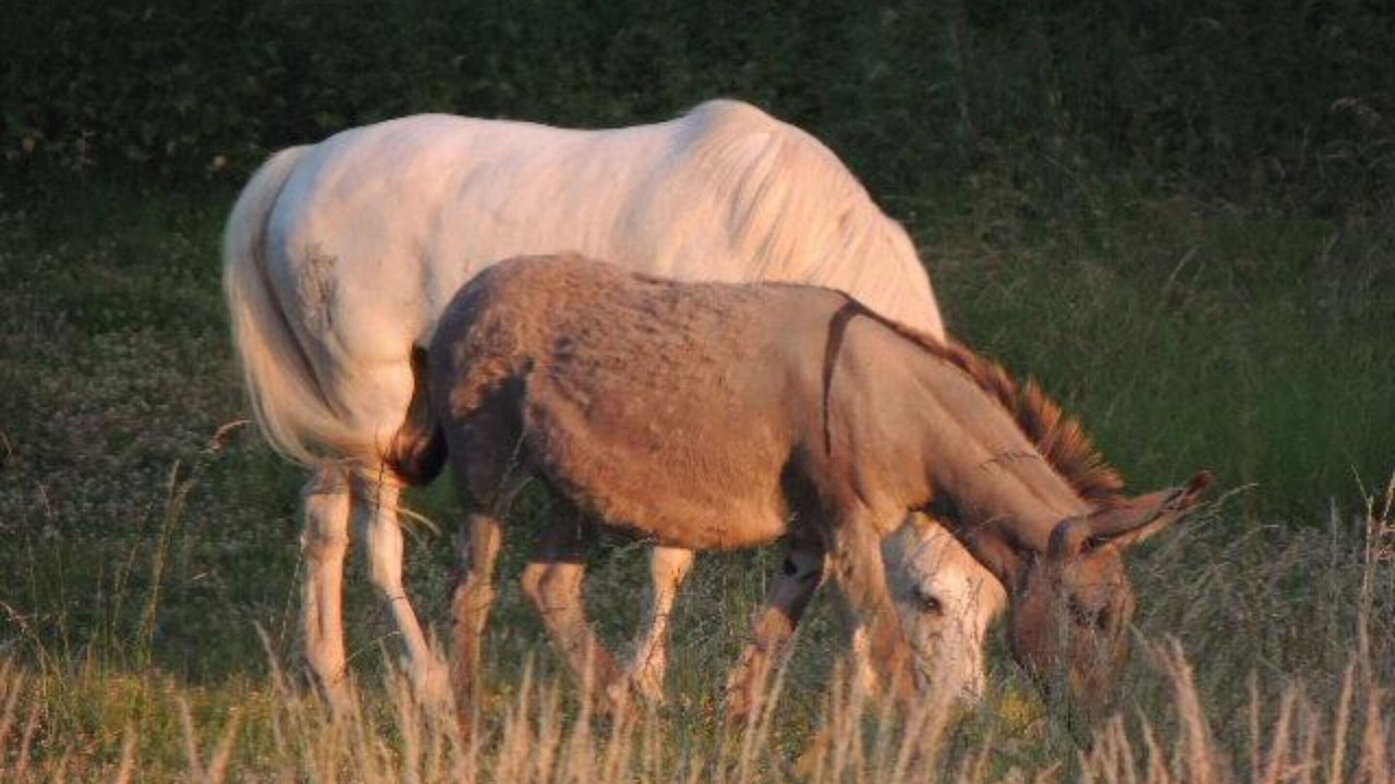 Photo of Others in Maissemy