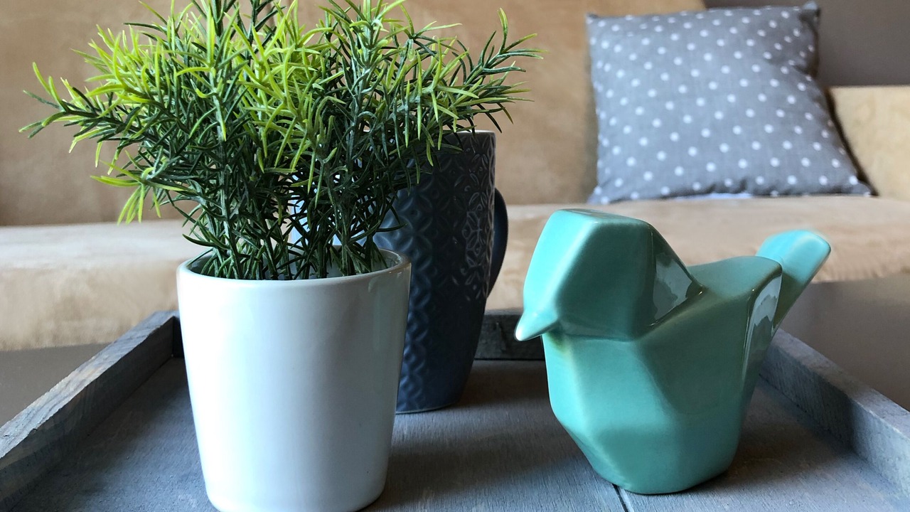 Photo of Others in Guilvinec