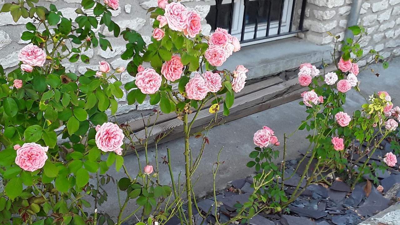 Photo of Outdoor in Montlouis-sur-Loire