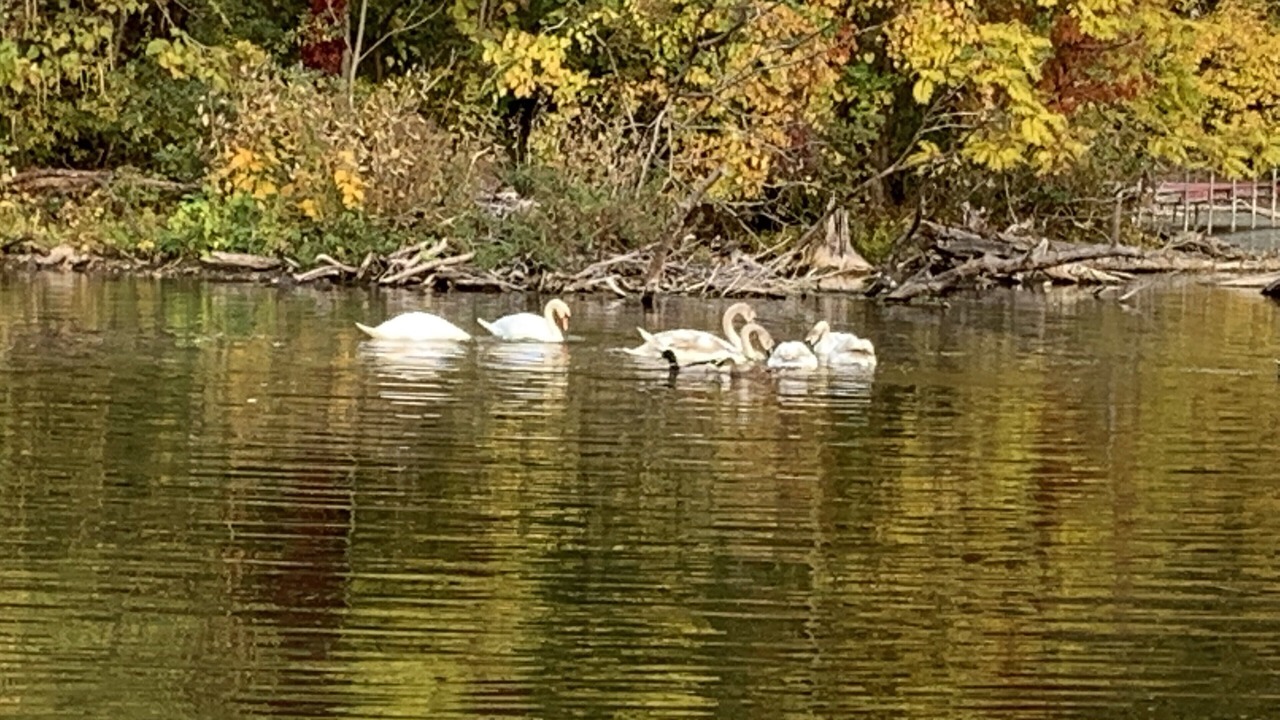 Photo of Outdoor in Rochester