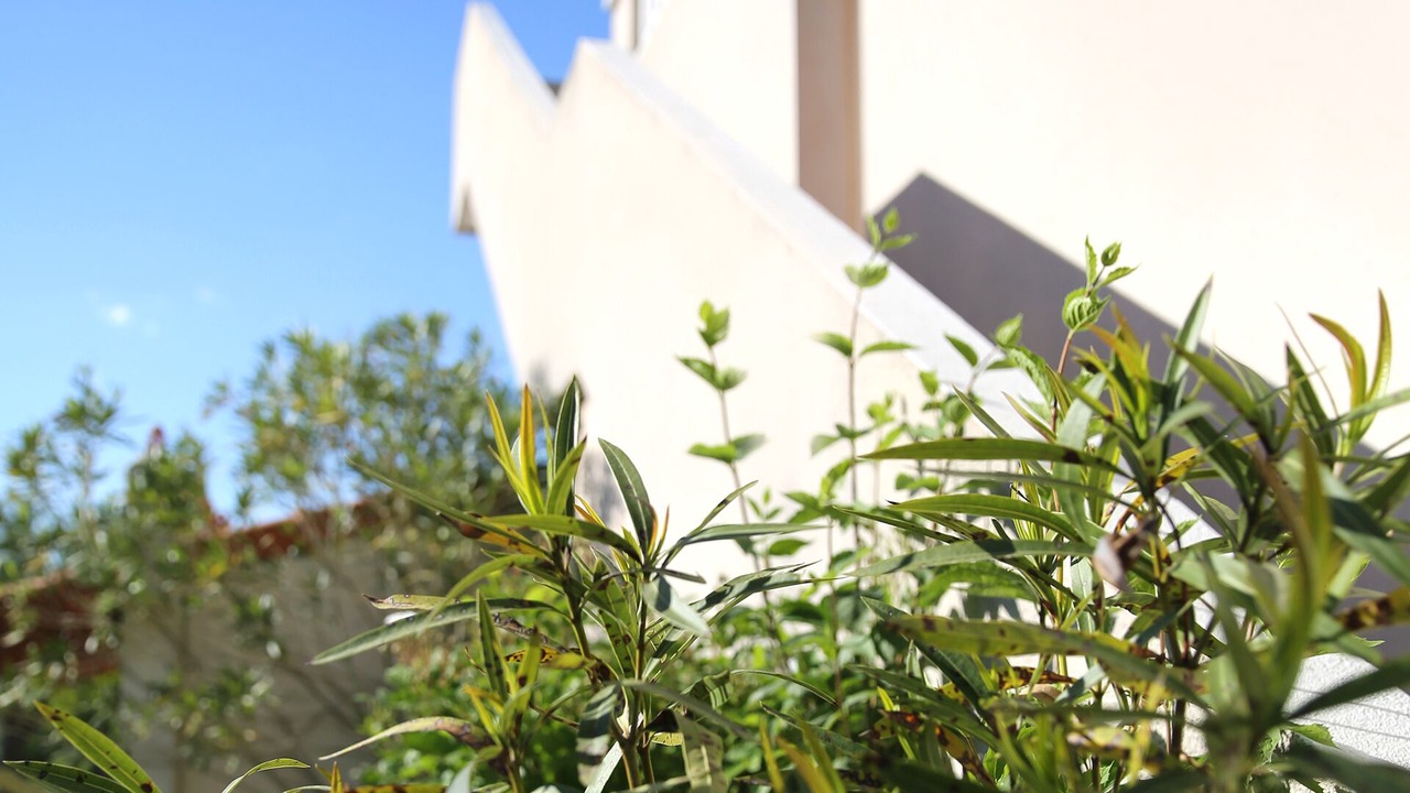 Photo of Outdoor in Allegre Les Fumades