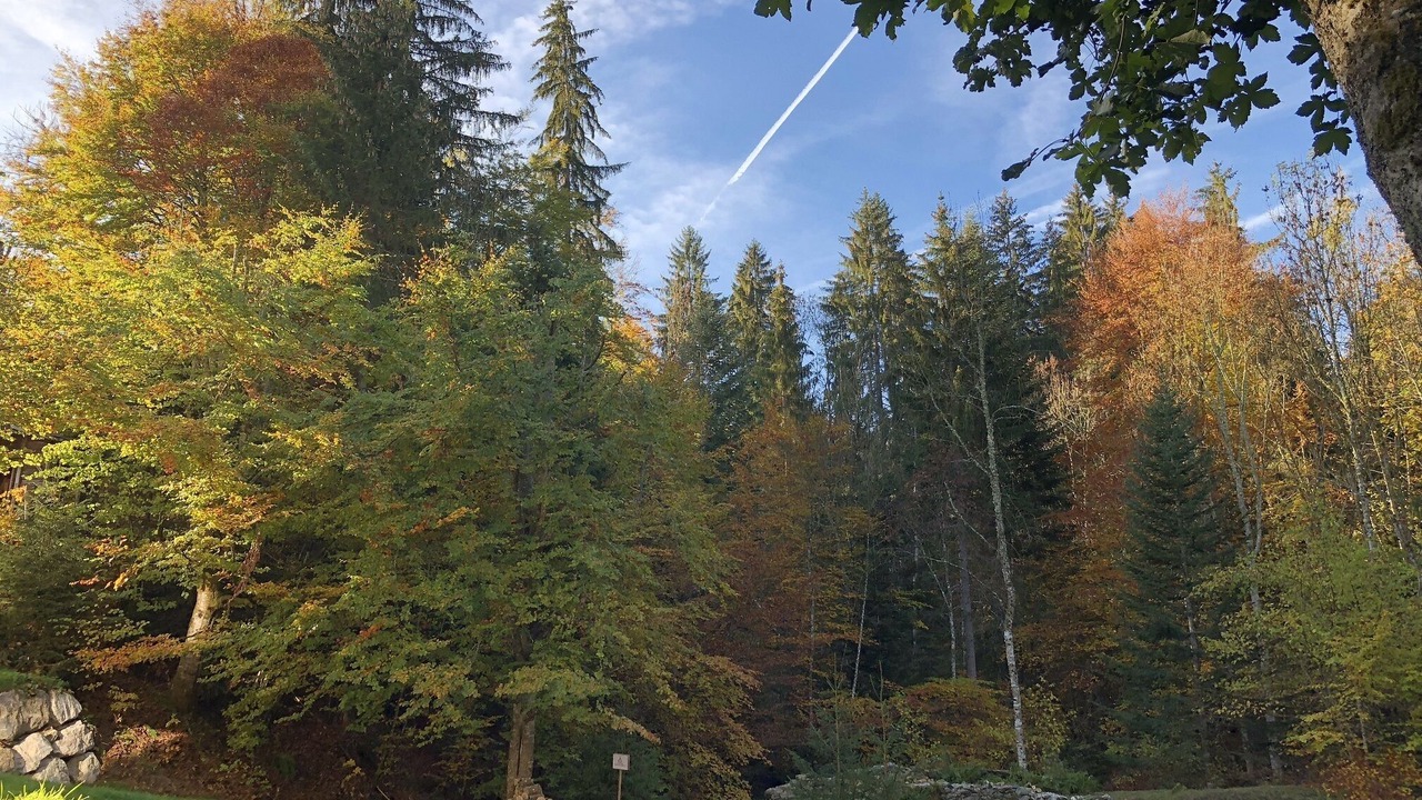 Photo of Outdoor in Sallanches