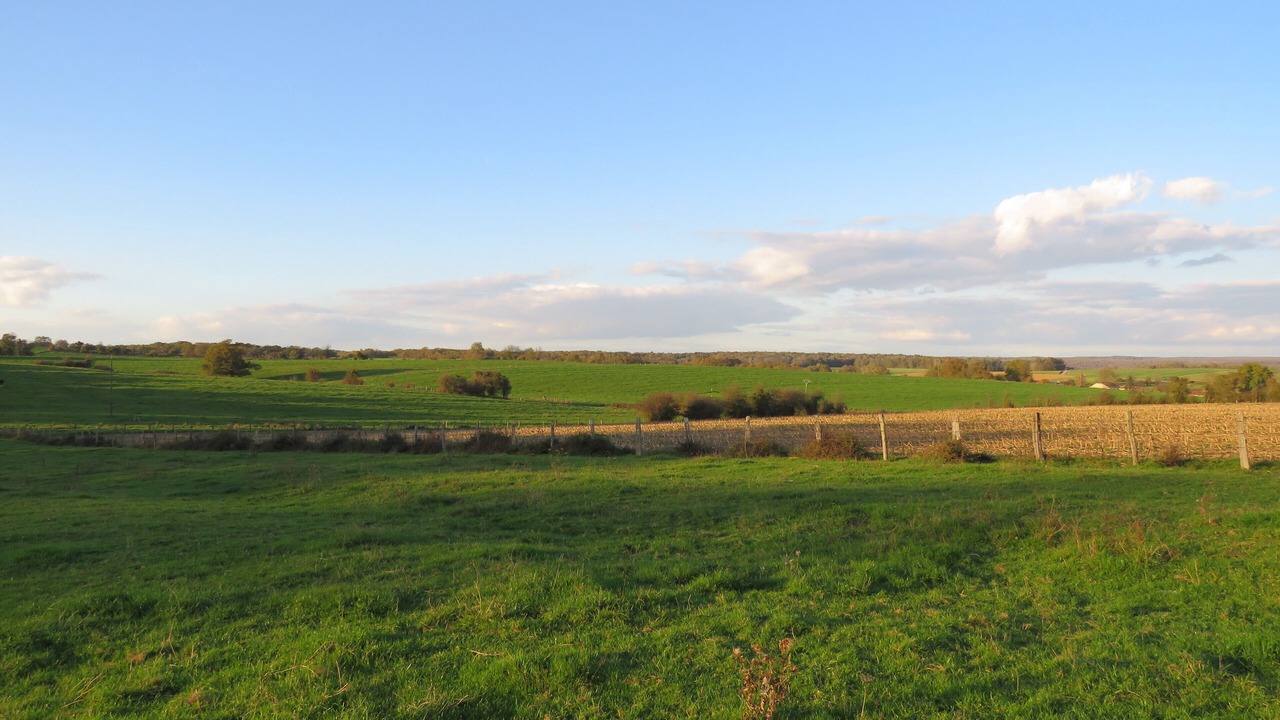 Photo of Outdoor in Anjeux