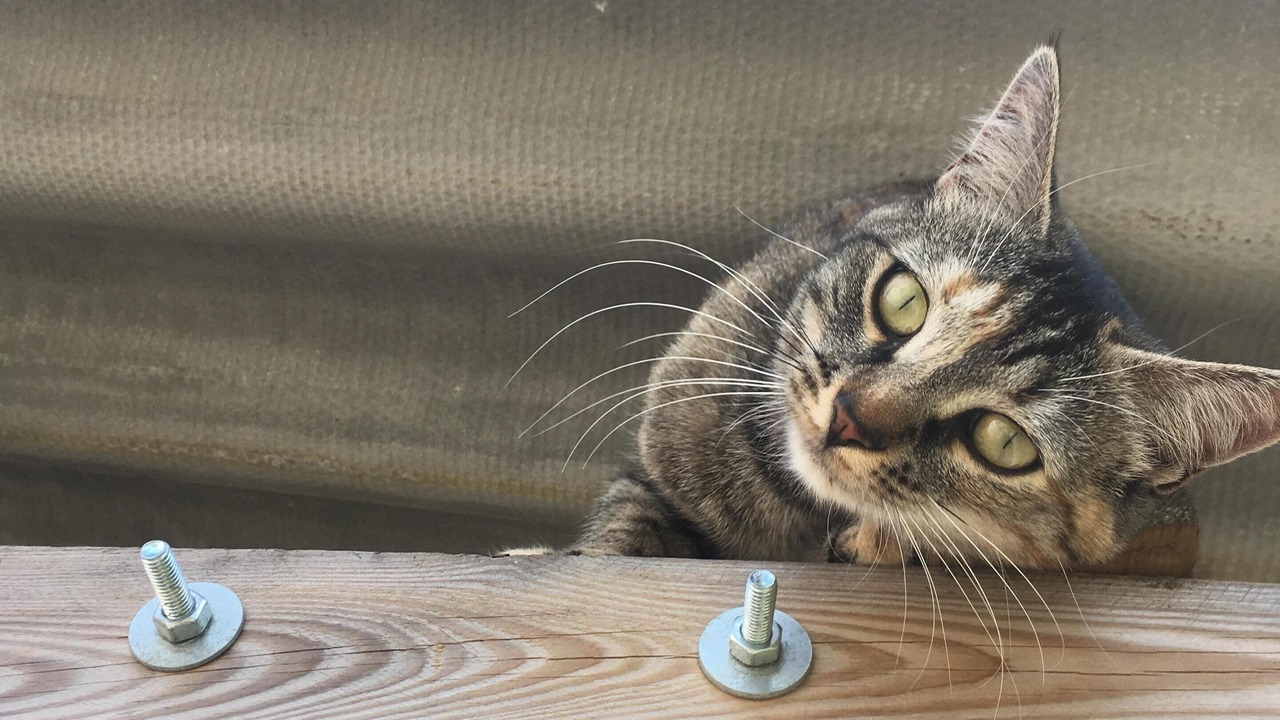 Photo of Others in Anjeux