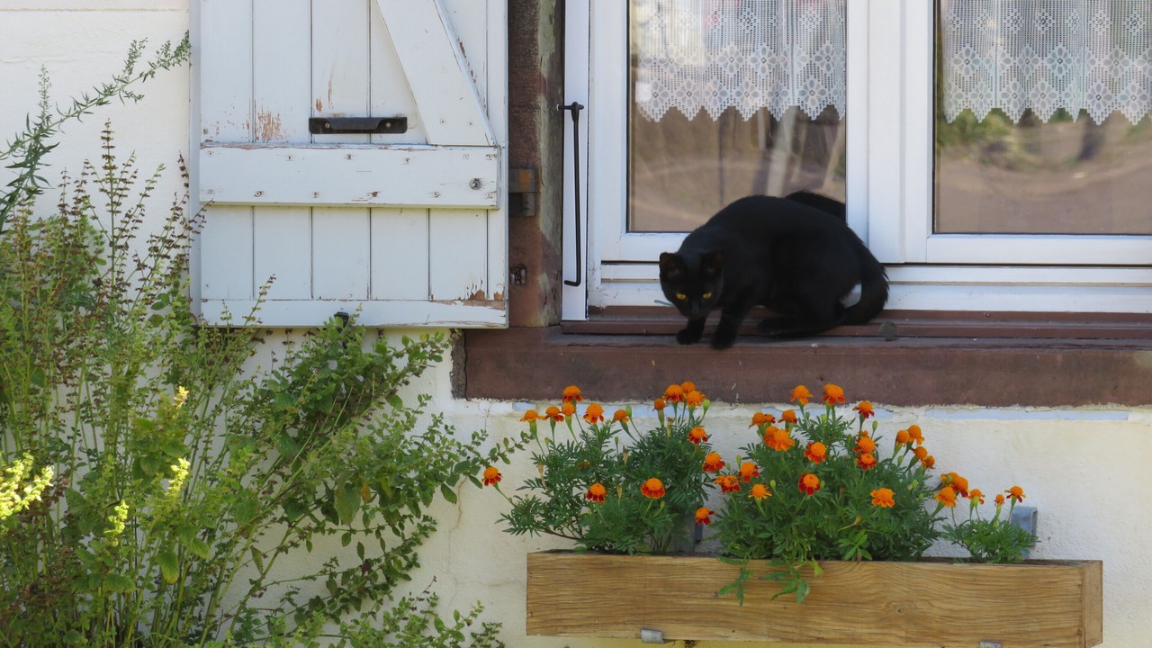 Photo of Outdoor in Anjeux