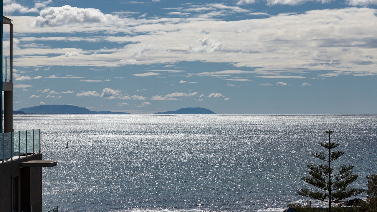 Photo of Others in Forster