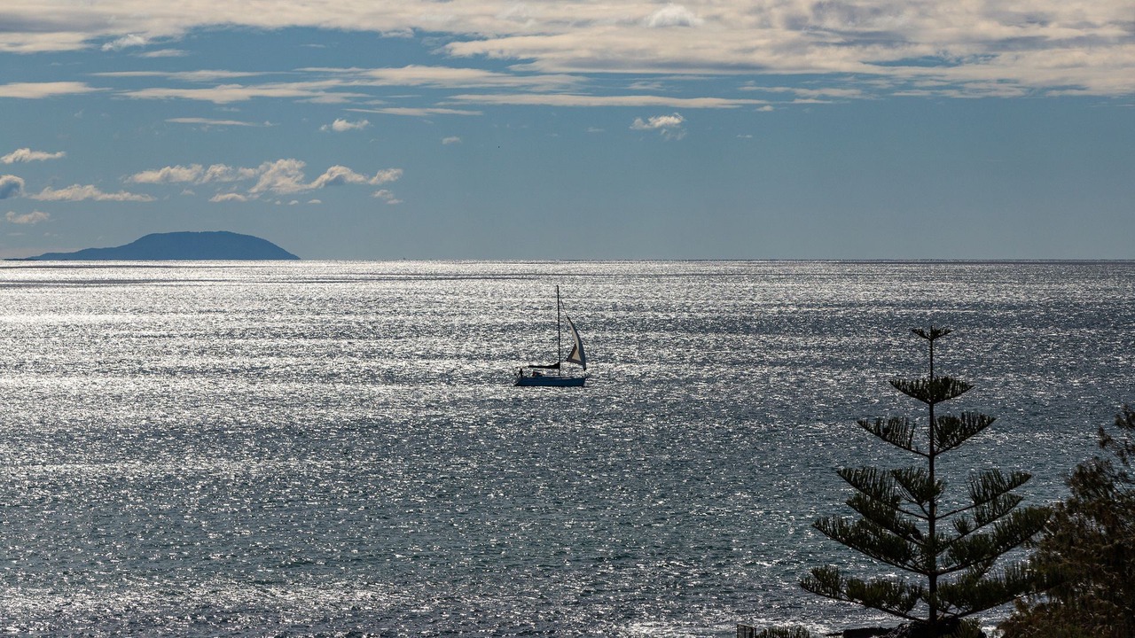 Photo of Others in Forster