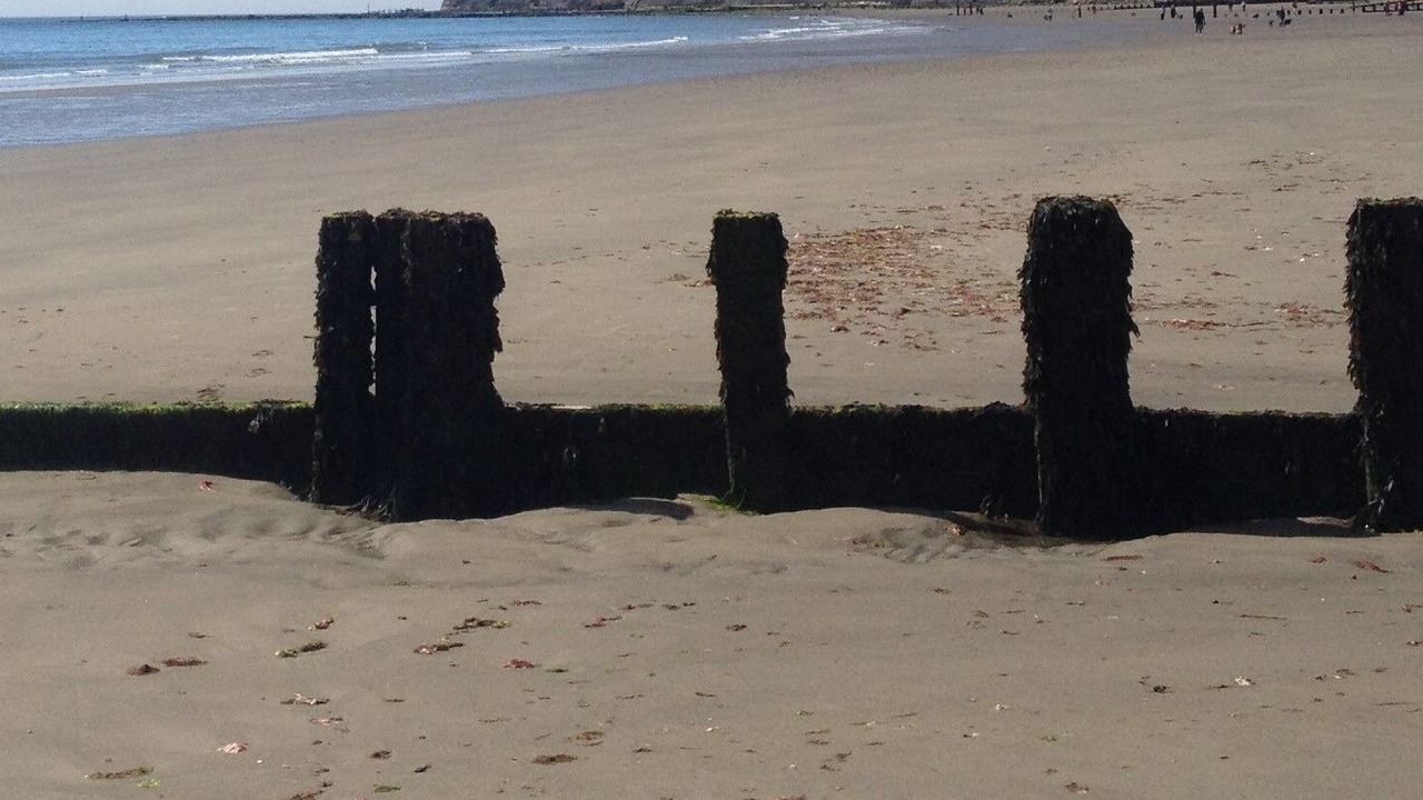 Photo of Others in Shanklin