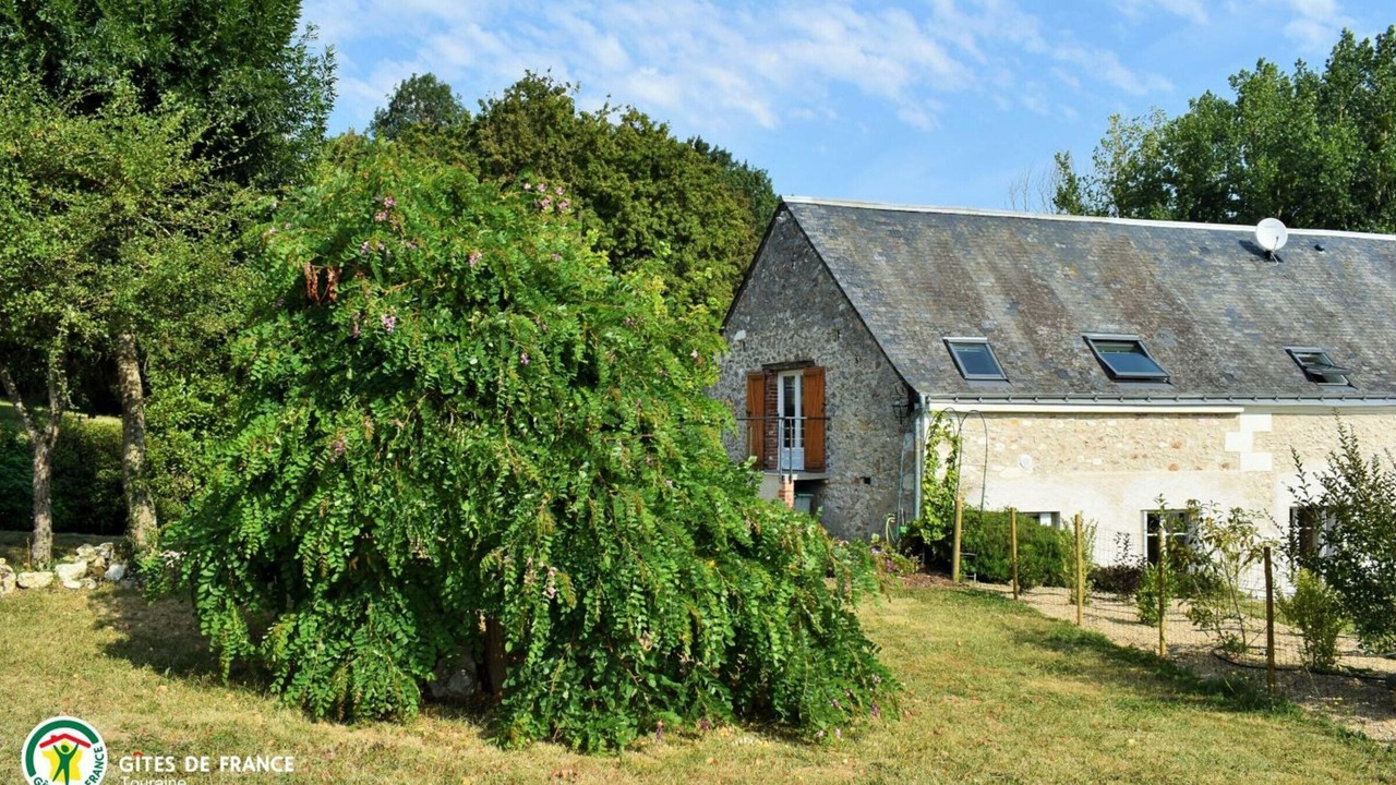 Photo of Outdoor in Tauxigny