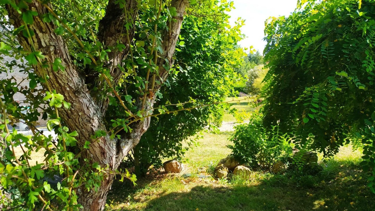 Photo of Outdoor in Tauxigny