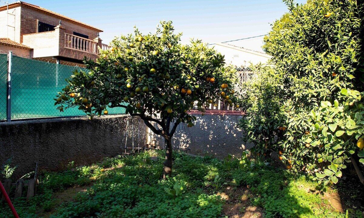 Photo of Outdoor in L'Eliana