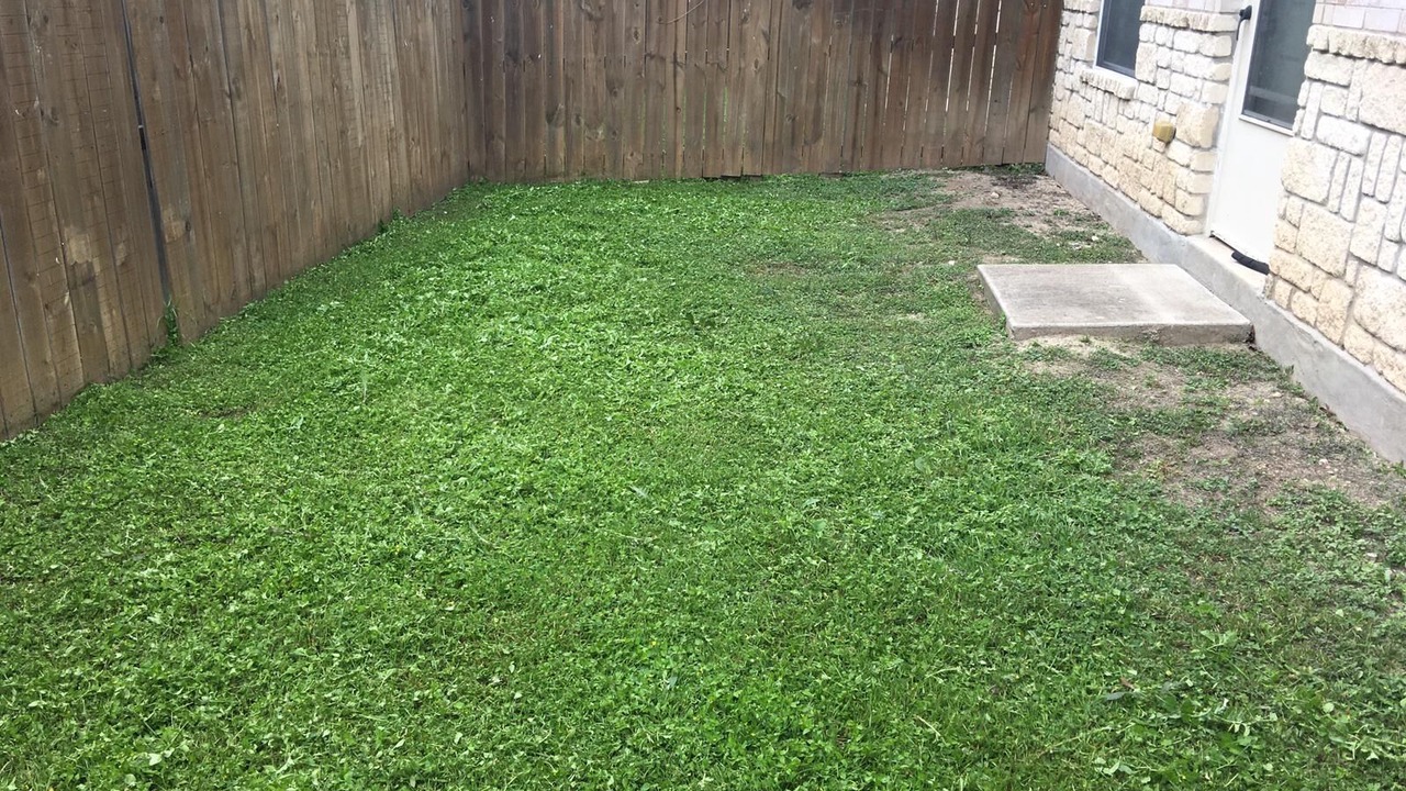 Photo of Outdoor in Medical Center District