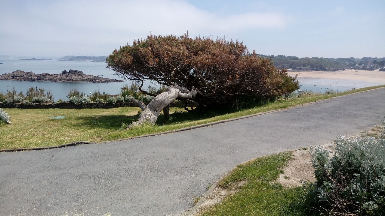 Photo of Outdoor in Caulnes